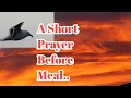 A SHORT PRAYER BEFORE MEAL,INSPIRATIONAL V124