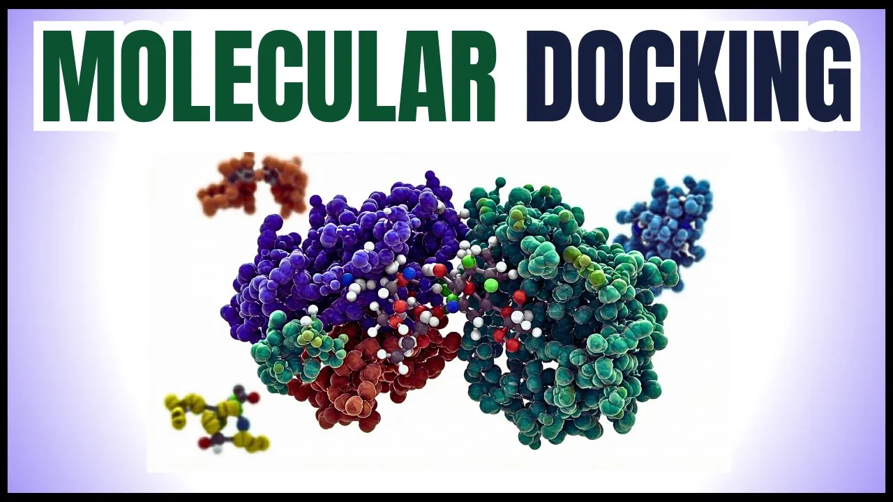 Molecular Docking | Principles, Types, Tools, Applications & Role in Drug Discovery | Bioinformatics