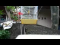 Burung mosambik gacor ngerol