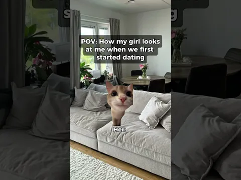 How my girl looks at me when we first started dating vs. now #catmemes #relatable #shorts