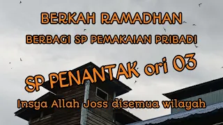 Download SP PRIBADI, Berbagi SP Pemakaian Pribadi Yang Sudah Terbukti SP PENANTAK ori 03 #SpPribadi MP3