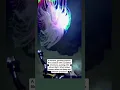 Download Lagu This Deep Sea Creature Looks Unreal