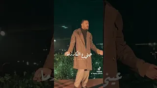 مهرجان  غيرك حاول بس اتزاول يبني اتلاشه ابو المسالم   مهرجانات دندنها