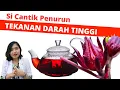 Download Lagu 10 MANFAAT \u0026 BAHAYA TEH  BUNGA ROSELLA UNTUK KESEHATAN | dr.Emasuperr