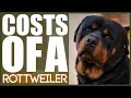 How Much Does A ROTTWEILER COST