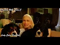 Download Lagu Harry \u0026 Meghan's financial\u0026marital woes/running out of road/Anson spot on/Castle Goring Summer Ball