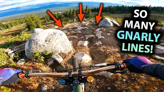 Download This DH Trail Almost DESTROYED ME!!... But I love it! MP3