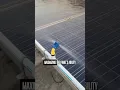 Download Lagu This is an automatic solar panel cleaning system.