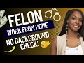 5 NO BACKGROUND CHECK REMOTE JOBS ONLINE JOBS FOR FELONS WORK FROM HOME 2023