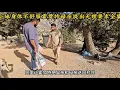 Download Lagu 法尔赞身体不舒服阿里让霍贾特把父母送走，老头子提出无理要求