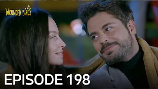 Wounded Birds | Episode 198