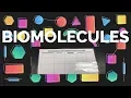 BIOMOLECULE COMPARISON CHART COMPARING BIOMOLECULES MANIPULATIVE