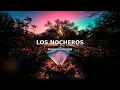 Los Nocheros - Me Enamoré De Una Zamba (Lyric Video)