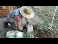 Setting a deck Cook