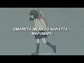 生まれた意味などなかった - mafumafu │ umareta imi nado nakatta; sub español