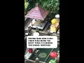 Download Lagu Patirtan Tadah Uwuk di Bali: Tempat Penglukatan Purba di Klungkung yang Kembali Dihidupkan