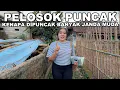 Download Lagu KENAPA DI PUNCAK BANYAK JANDA MUDA CANTIK