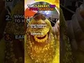 TOP FUNNIEST 360 FOOD MUKBANG