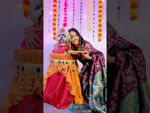 Dhaagon Se Bandha | Raksha Bandhan | Daisy | Shihtzu | Baby Girl | Vaishnavi More | DancingDoll