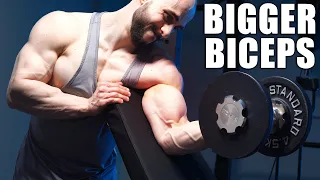 Preacher Curls For Bigger Biceps