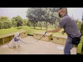 What is Positive Reinforcement Based Dog Training Petco