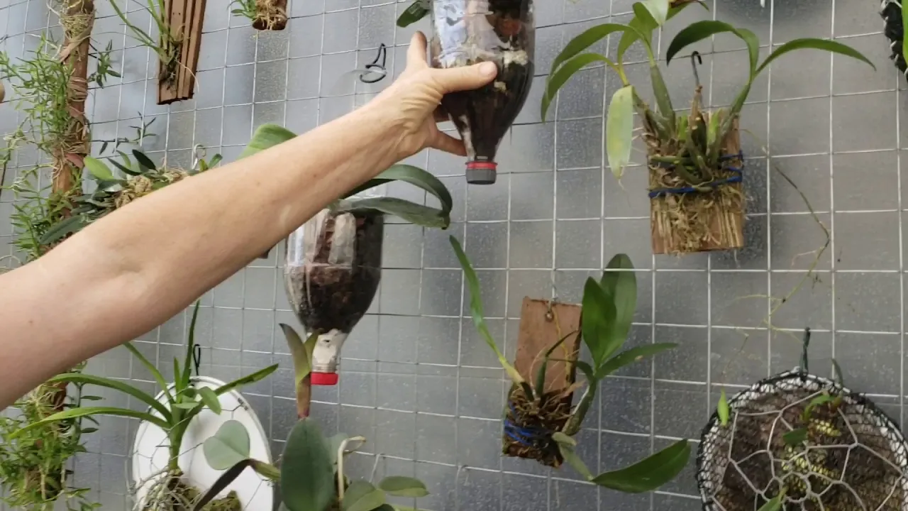 COMO FAZER UM PAINEL PARA AS SUAS ORQUÍDEAS