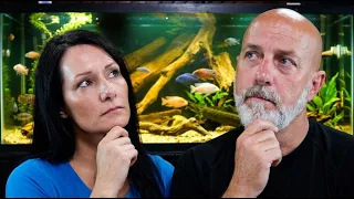 The First Decision Every Aquarium Keeper Should Make?