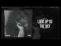 Nicole Bus - Look Up To The Sky (Official Audio)
