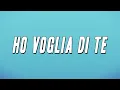 Download Lagu JVLI, Emma, Olly - HO VOGLIA DI TE (Testo)