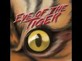 Eye of the Tiger (Anniversary of Rocky III Mix)