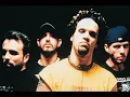 Oasis - Puya