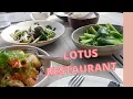 Lotus Restaurant