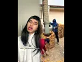 Download Lagu #fyp #lws #memes #youngest #oldestchild #middlechild #youtubeshorts