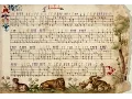 Download Lagu La Vilanela - Vincenzo Capirola - Lute - Luth