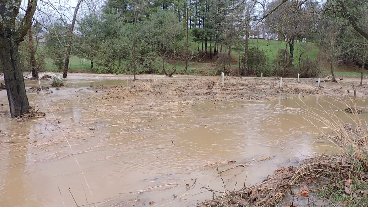 Moffett Creek flooded riparian areas