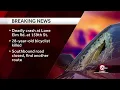 Bicyclist killed in Olathe Kansas crash