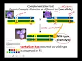 complementation supplemental lecture