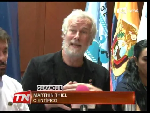 Plásticos desechables contaminan las playas del país