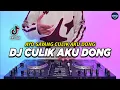 Download Lagu DJ AYO SAYANG CULIK AKU DONG REMIX FULL BASS VIRAL TIKTOK TERBARU 2024 | DJ CULIK AKU DONG