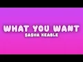 Sasha Keable - tell me what you want (Lyrics)