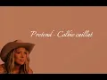 Pretend - Colbie caillat (Lyrics)