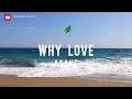 Asake - Why  Love (lyrics)
