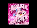 Montagem Ashita