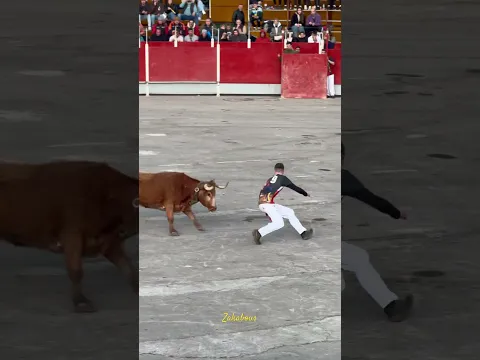 Última suerte de la semifinal del concurso de maestros de la calle Castellón 2025