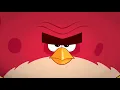 IM DA BIGGEST BIRD