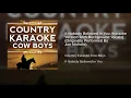 If Nobody Believed in You (Karaoke Version With Background Vocals) [Originally Performed By Joe...
