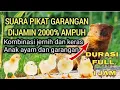 Download Lagu 🛑suara pikat, garangan//kombinasi jernih dan keras Mp3