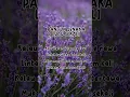 Download Lagu PANTUN JENAKA LUCU SEKLI,,