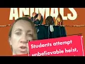 College Students Attempt Unbelievable Heist Later Documented in Movie American Animals
