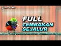 Lagu TEMBAKAN KONIN GACOR FULL ISIAN SEJALURAN COCOK UNTUK MASTERAN KOLIBRI NINJA BAHAN IJOAN